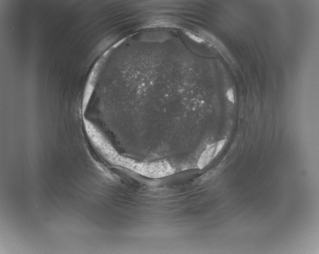 X0000074031241200609181918