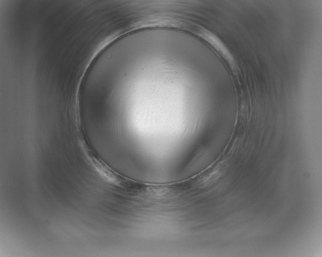 X0000074031242200609181918