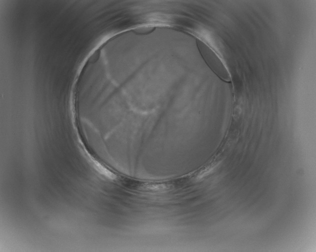 X0000074031243200609181918