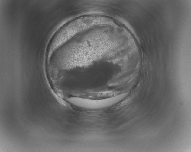 X0000074031245200609181918