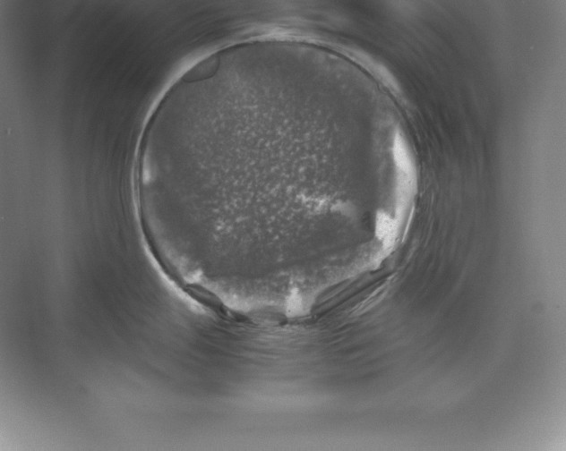 X0000074031247200609181918