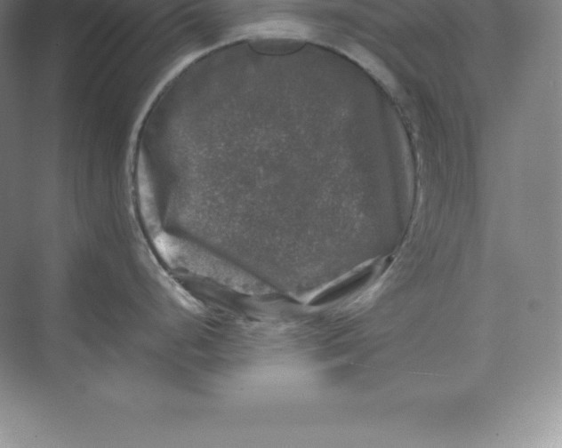 X0000074031248200609181918