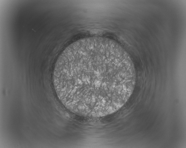 X0000074031249200609181918