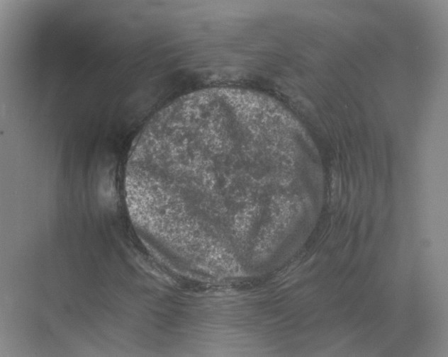 X0000074031250200609181918