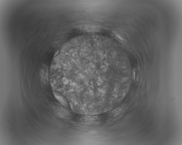 X0000074031251200609181918