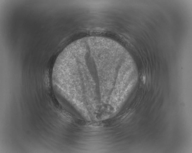 X0000074031252200609181917