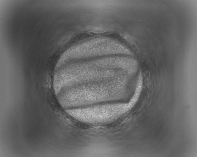 X0000074031253200609181917