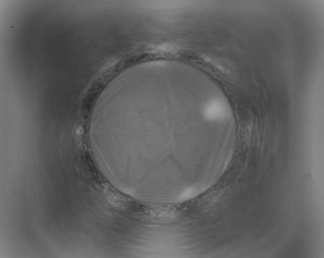 X0000074031254200609181917