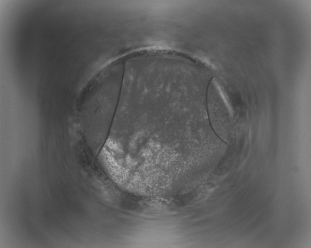 X0000074031255200609181917