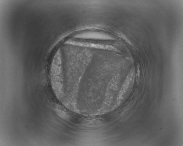 X0000074031256200609181917