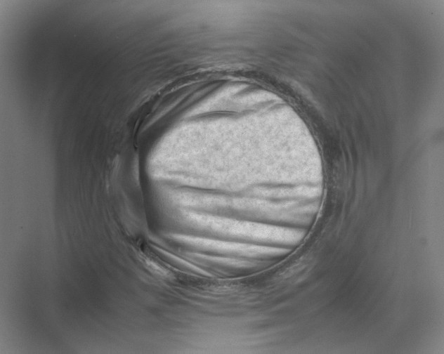 X0000074031257200609181917