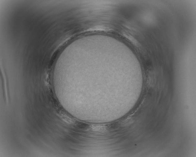 X0000074031258200609181917