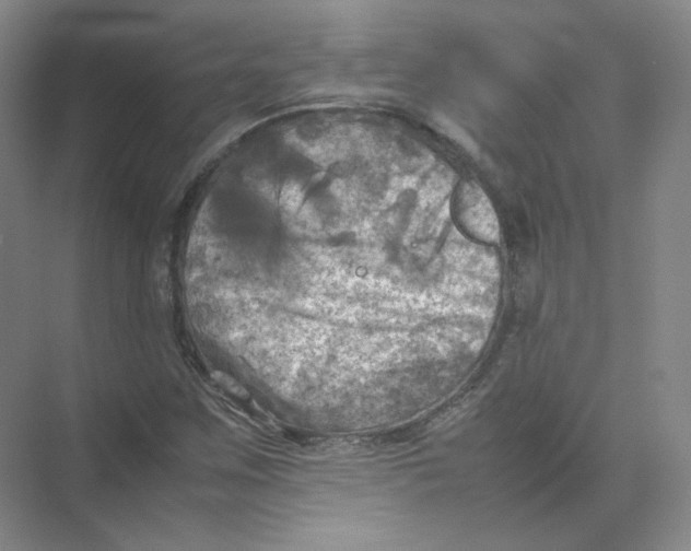 X0000074031259200609181917