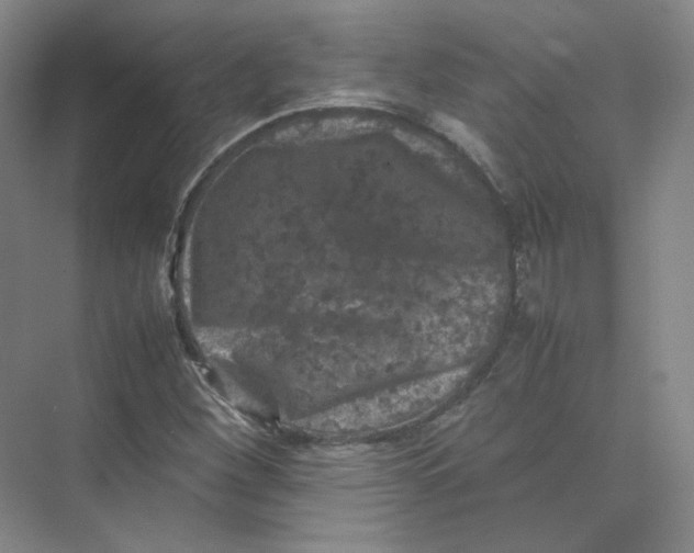 X0000074031260200609181917