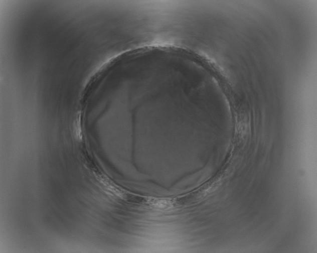 X0000074031262200609181917