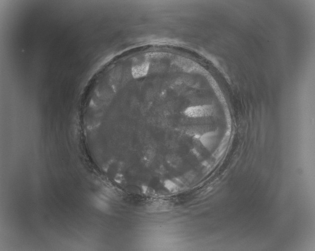 X0000074031263200609181917