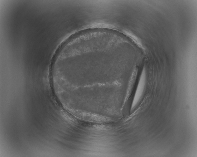 X0000074031264200609181917