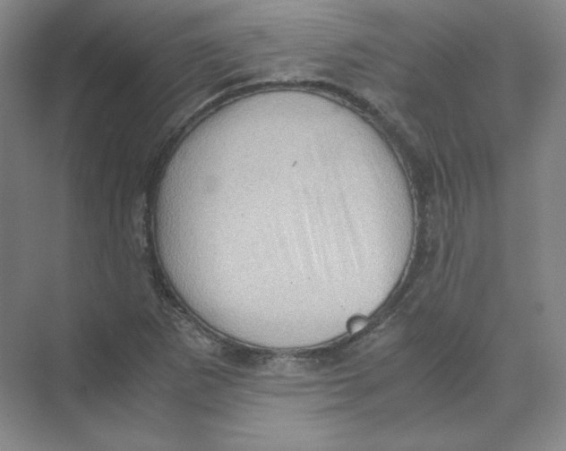 X0000074031265200609181917