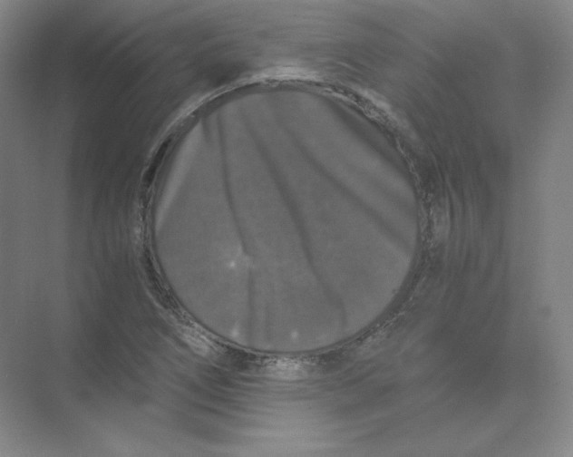 X0000074031266200609181917