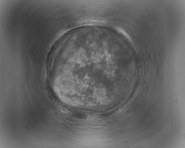 X0000074031267200609181917