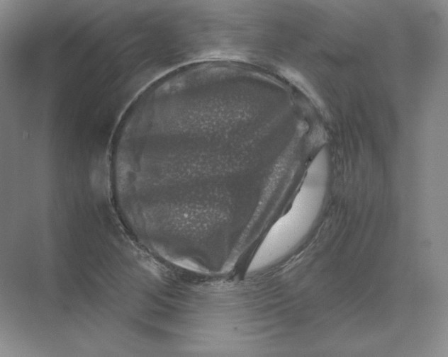 X0000074031268200609181917