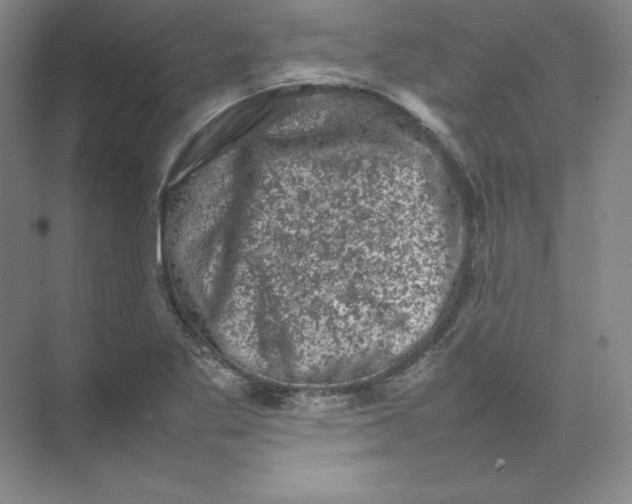 X0000074031269200609181917