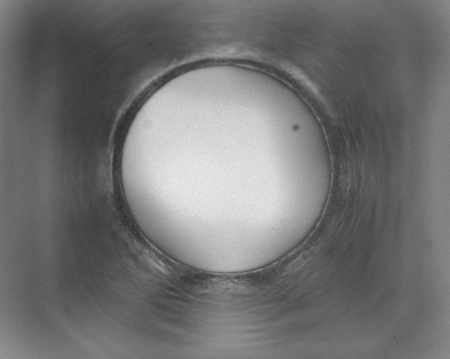 X0000074031270200609181917