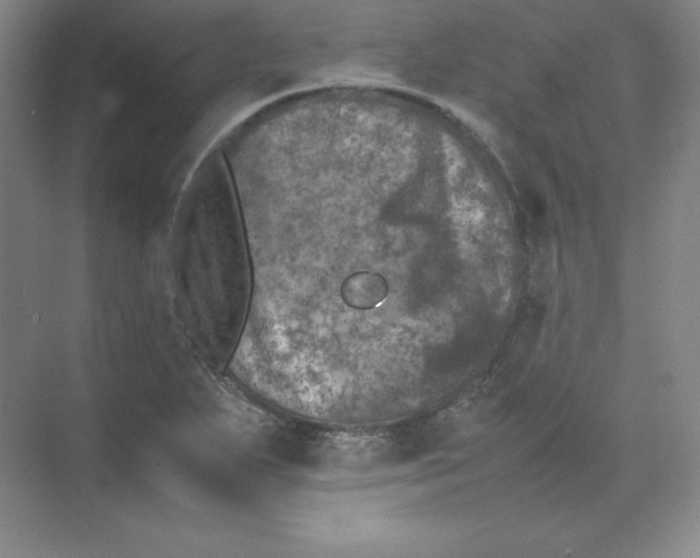 X0000074031271200609181917