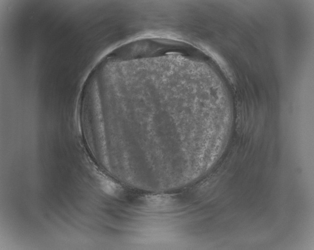 X0000074031272200609181917