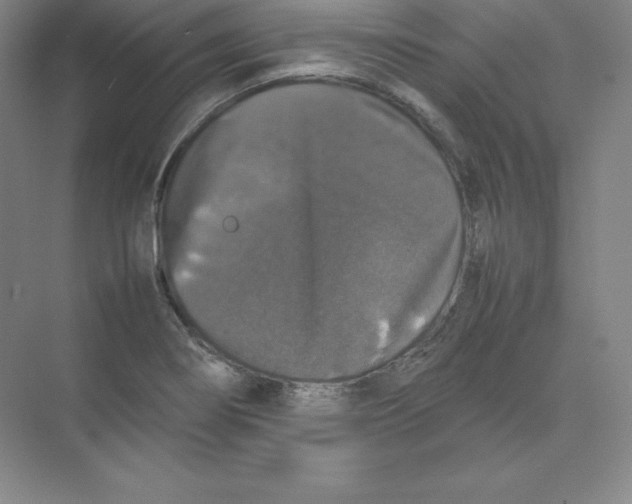 X0000074031274200609181917