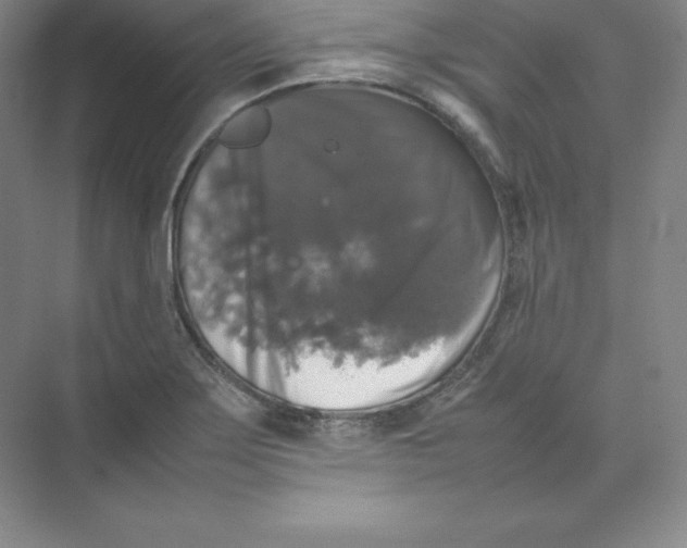 X0000074031275200609181917