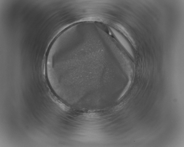 X0000074031276200609181917