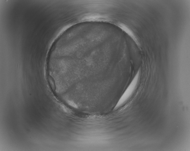 X0000074031277200609181917