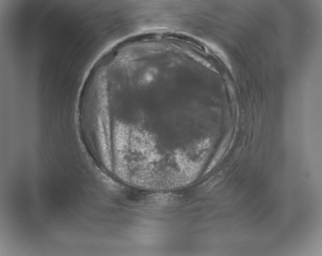 X0000074031279200609181917