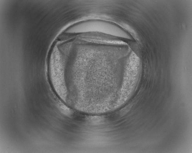 X0000074031280200609181917