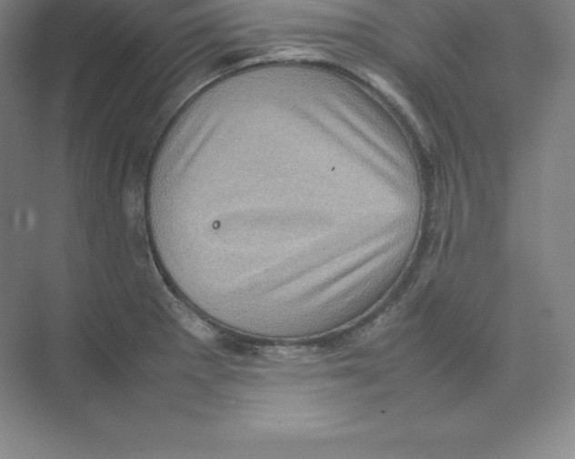 X0000074031281200609181917