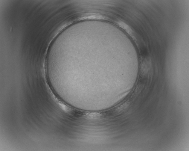 X0000074031282200609181917