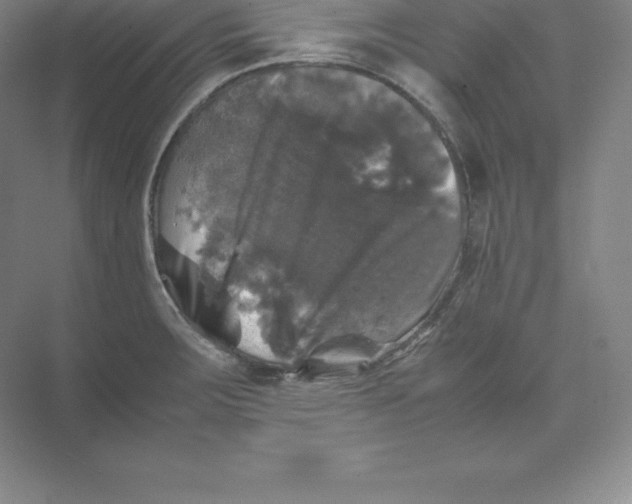 X0000074031283200609181917