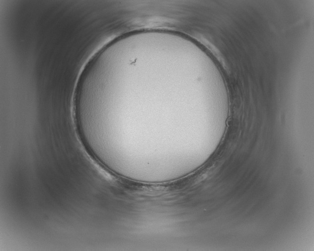 X0000074031285200609181917