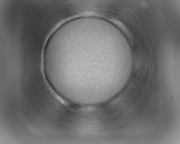 X0000074031286200609181917