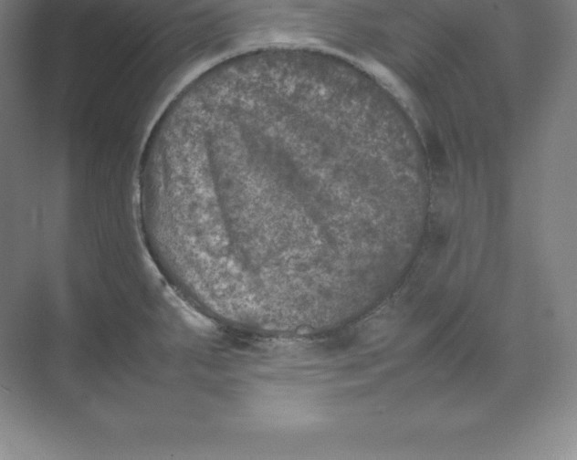 X0000074031287200609181917