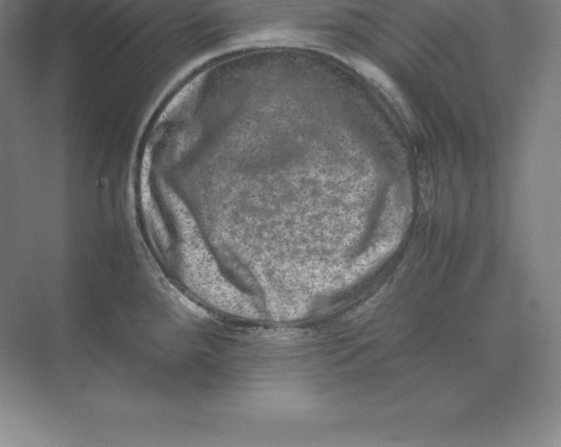 X0000074031288200609181917