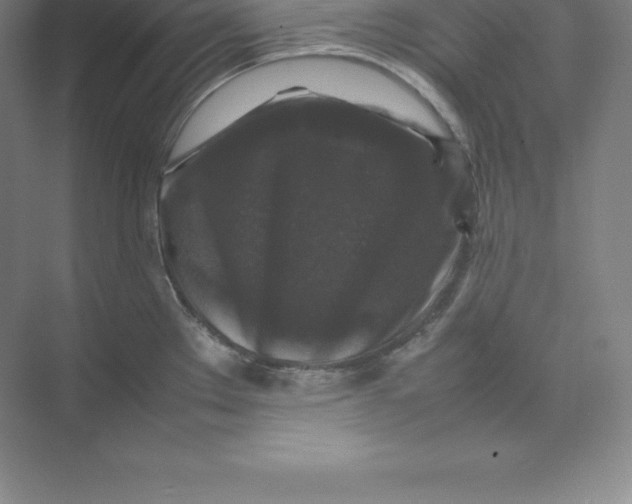 X0000074031289200609181917