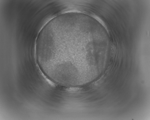 X0000074031290200609181917