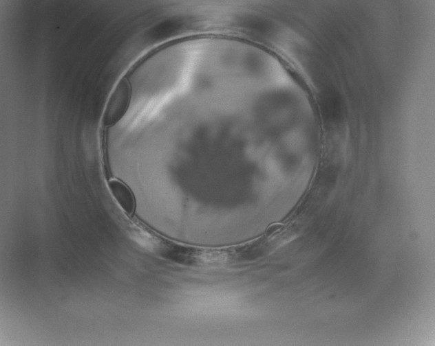 X0000074031291200609181917