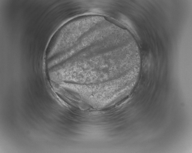 X0000074031292200609181917