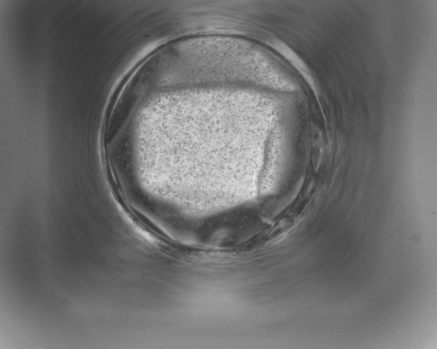 X0000074031293200609181917