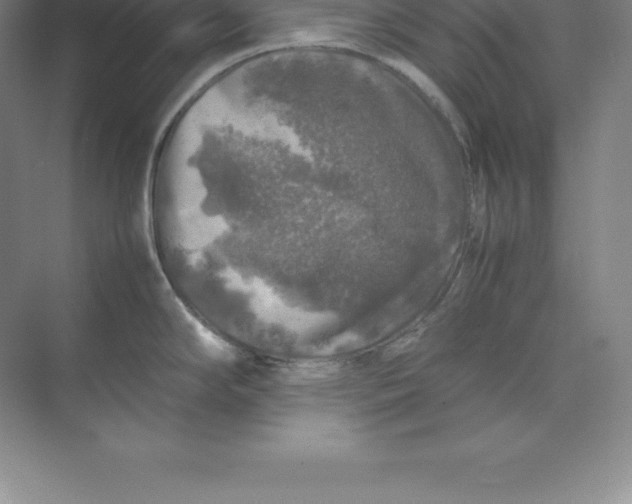 X0000074031294200609181917