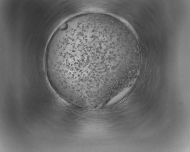 X0000074031295200609181917