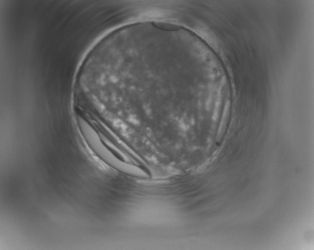 X0000074031296200609181917